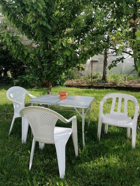 Zahrada ubytování Sobe pri Roži