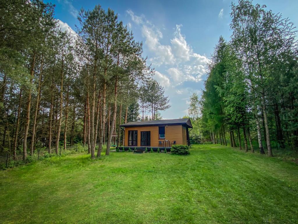 a small cabin in the middle of a field with trees at Domek Zacisze in Olsztynek