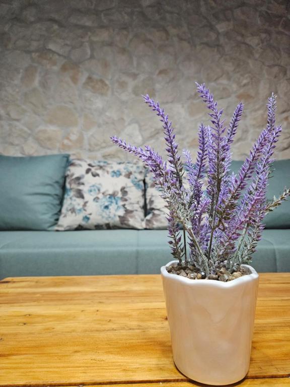 Posedenie v ubytovaní Dalmatia Rustica comfortable one bedroom+fireplace