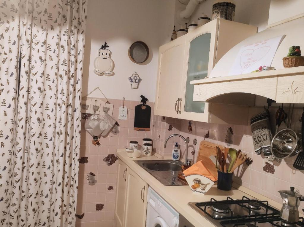 una pequeña cocina con fregadero y cortina de ducha en Orchidea, en Frabosa Soprana