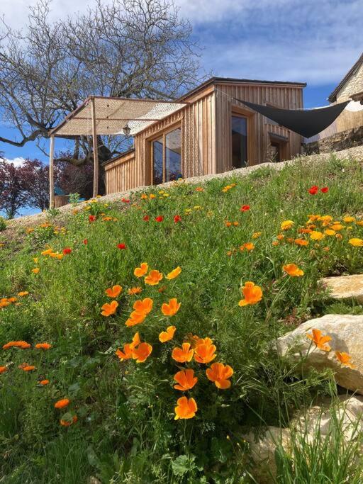 a field of flowers in front of a house at Cabane du Canada in Azerat