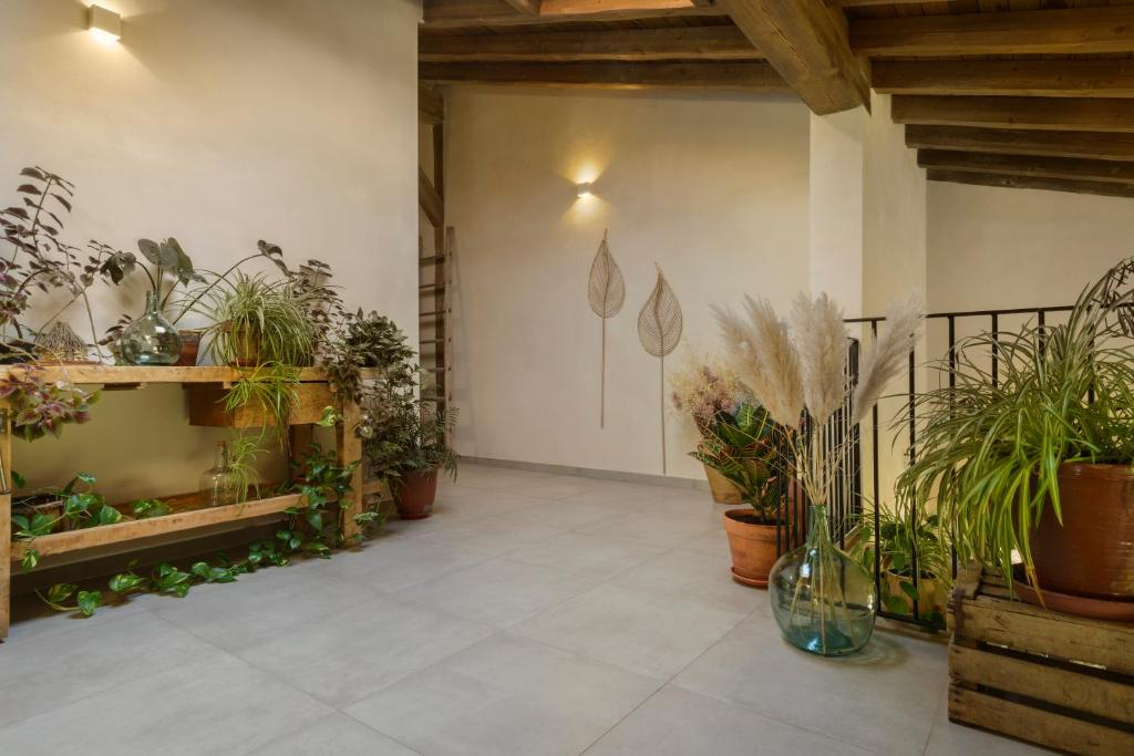 Zahrada ubytování Cerrás Agroturismo