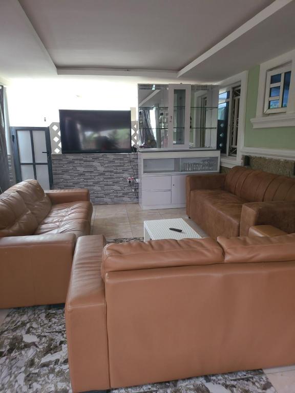salon z 2 brązowymi kanapami i telewizorem z płaskim ekranem w obiekcie Dazzle Apartments w mieście Jidu