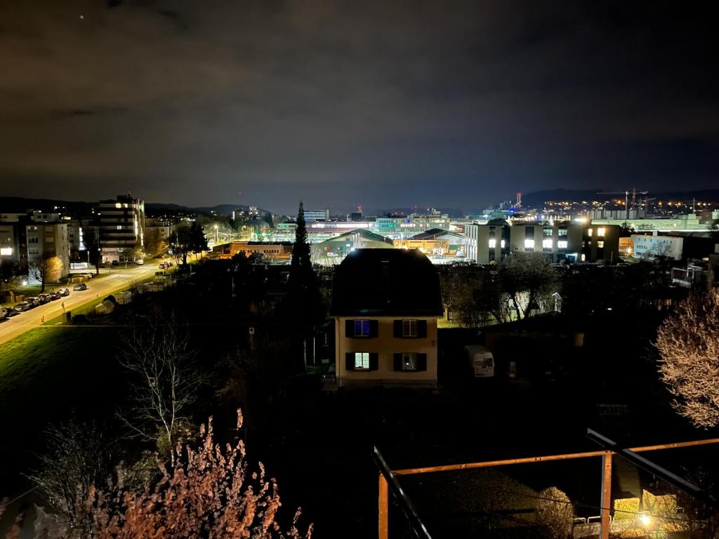 Nespecifikovaný výhled na destinaci Winterthur nebo výhled na město při pohledu z bed and breakfast