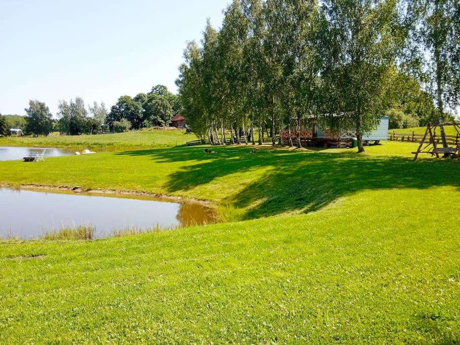 a grassy field with a pond and trees in the background at Brzozowa Polana in Budry