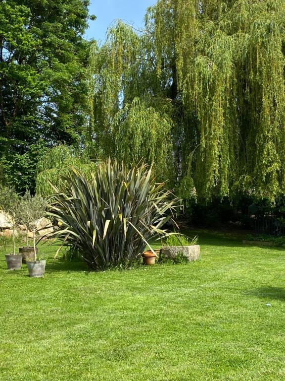 Zahrada ubytování LE CLOS DAUPHINAIS Chez Laurette