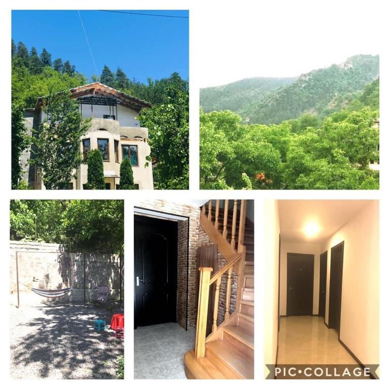 Fotografie z fotogalerie ubytování Zviad Guest House v destinaci Bordžomi