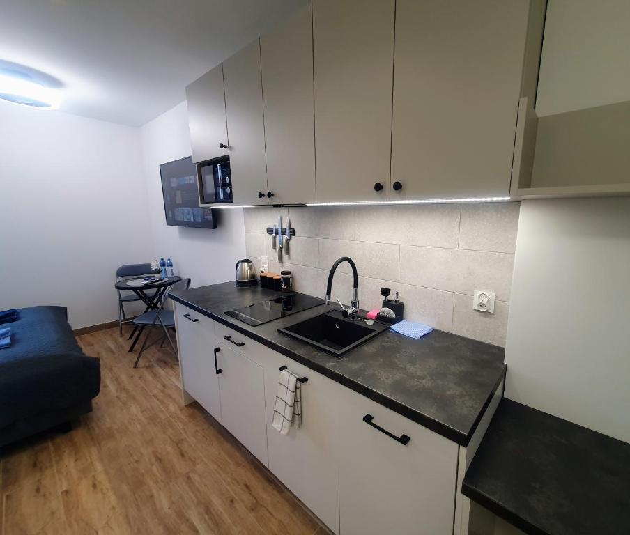 Apartamenty u Portera w Śródmieściu - 19