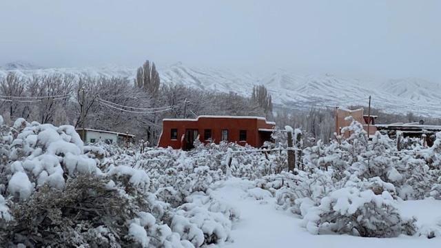 a snow covered yard with bushes and a house at Mamuna Posada un lugar para disfrutar de a dos in Uspallata