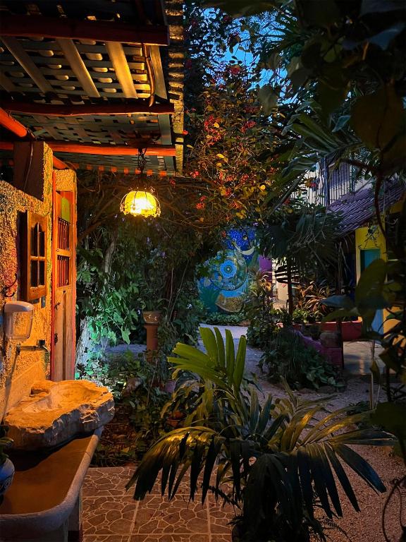 Un jardín fuera de Hostel Candelaria