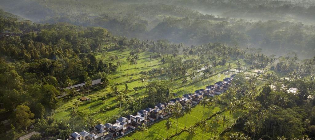 a long train full of cars parked on a hill at Stanagiri Luxury Retreat Ubud in Tegalalang