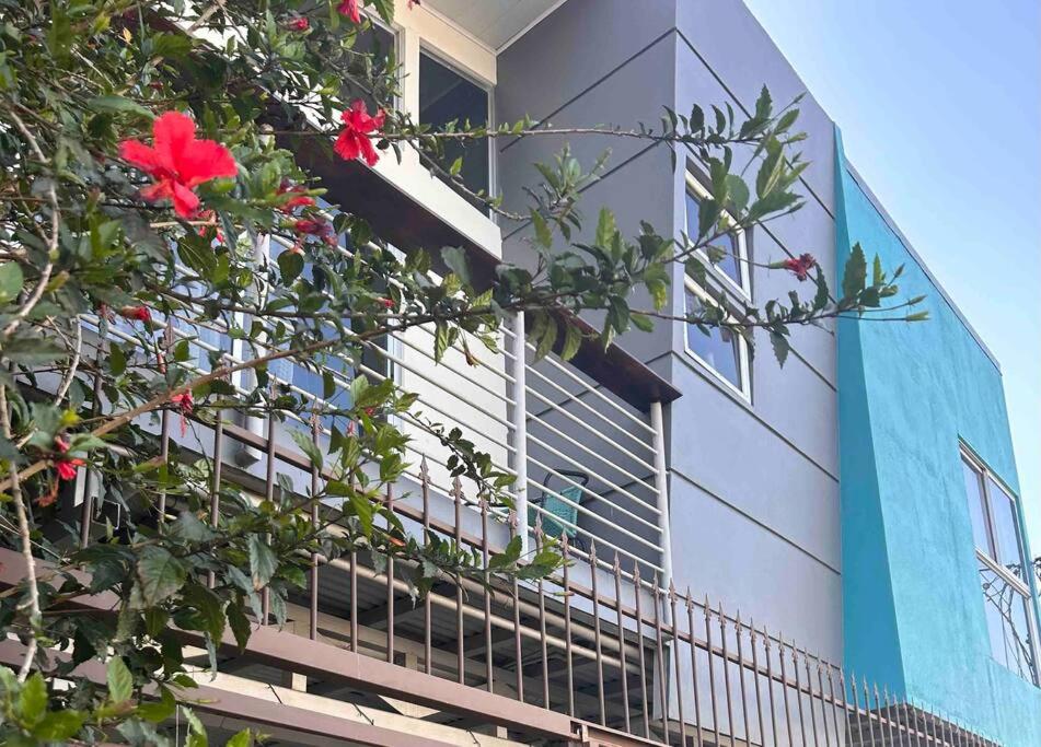 un edificio con una flor roja delante de un árbol en Casa céntrica en San Ramón, en San Ramón