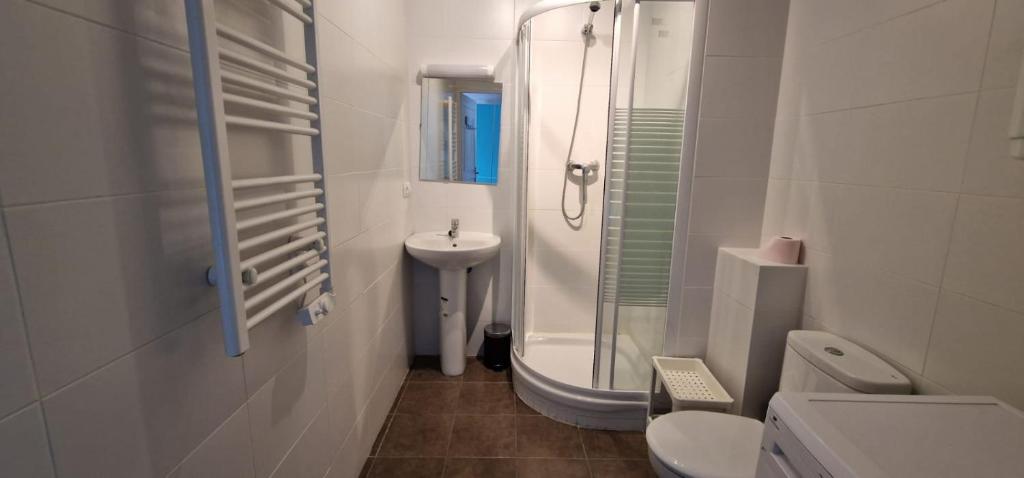 La salle de bains blanche est pourvue de toilettes et d'un lavabo. dans l'établissement Castèléma - Appartement proche du sanctuaire, à Lourdes