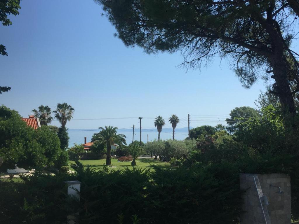 A garden outside Sea View Villa by Agora