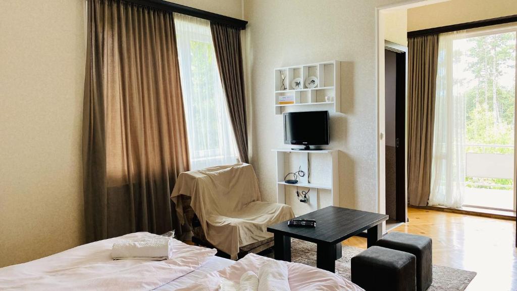 TV a/nebo společenská místnost v ubytování Neli & Zaal Guest House