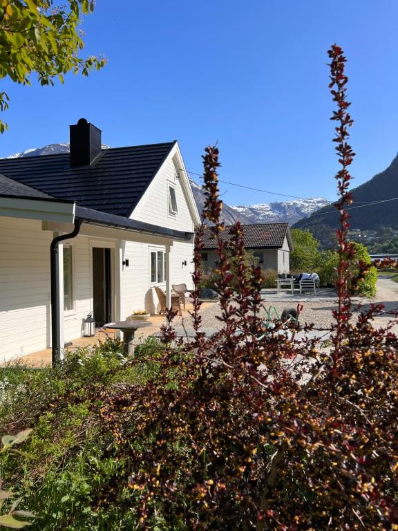 una casa blanca con un banco delante en Cozy house in Eidfjord, en Eidfjord
