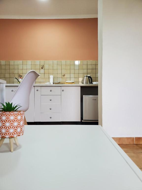 Kuchyň nebo kuchyňský kout v ubytování Centre Apartment in Shkoder