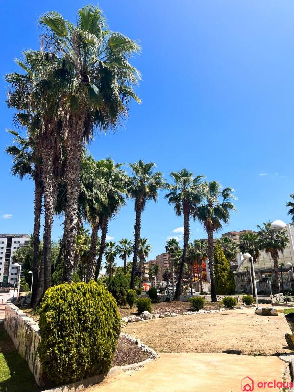 Fotografie z fotogalerie ubytování Céntrico y renovado v destinaci Oropesa del Mar