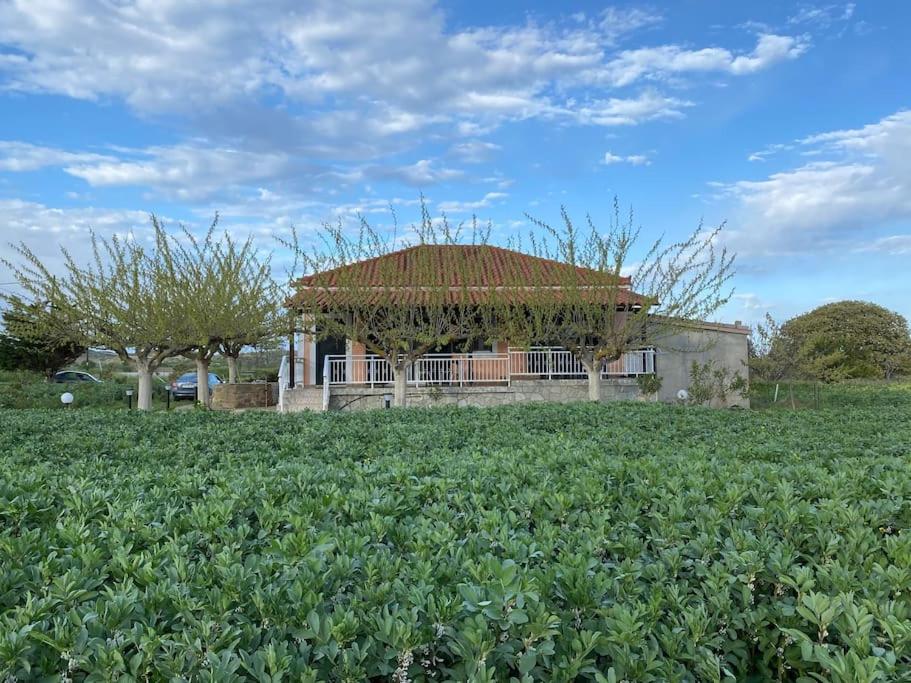 una casa con techo de hierba en un campo en Country-side residence, en Repanídhion