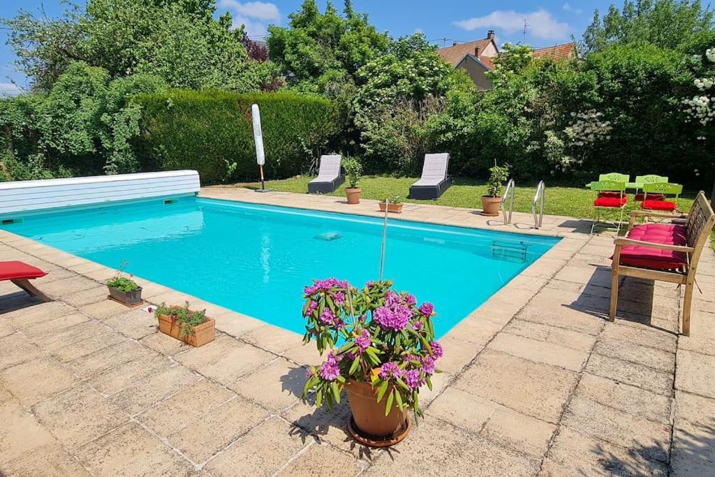 une piscine avec quelques fleurs et quelques chaises dans l'établissement Alsace Bas-Rhin Logis indépendant avec piscine privée, à Alteckendorf