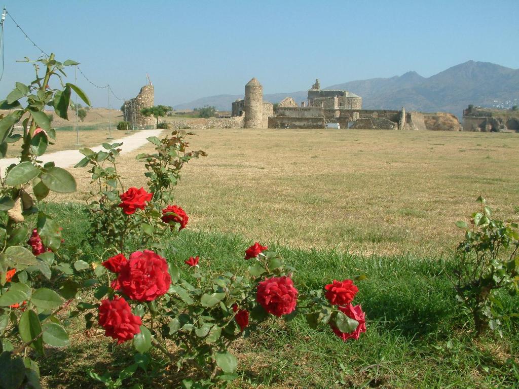 Fotografia z galérie ubytovania 1223 GRAN CANAL 200 m Playa - Apivend Immo v destinácii Roses