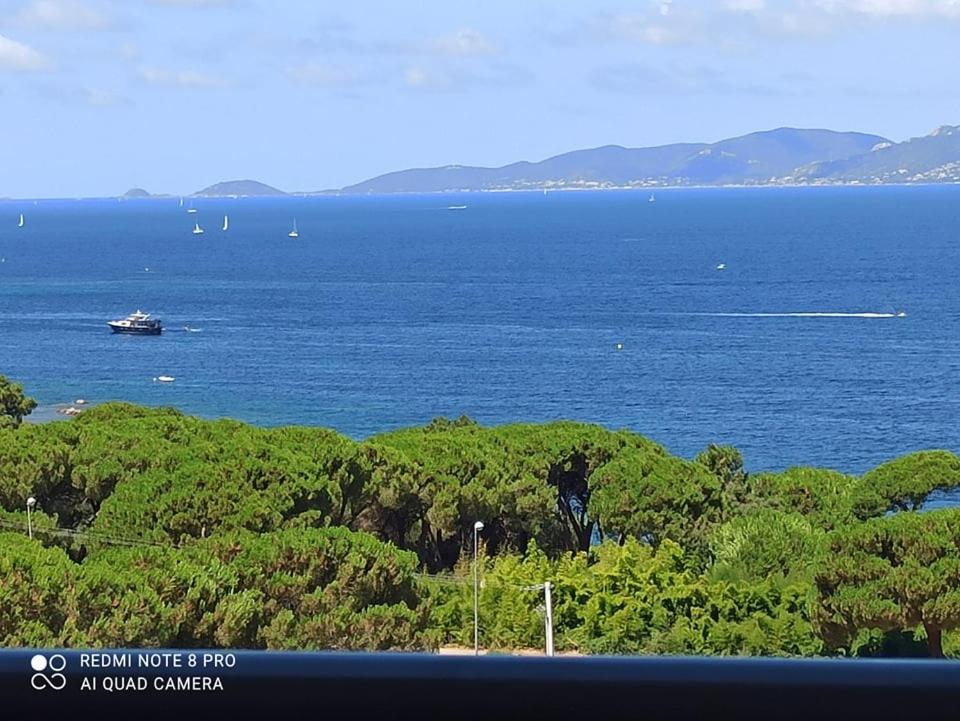un bateau dans une grande étendue d'eau avec des arbres dans l'établissement La Civita Piétrosella, à Pietrosella