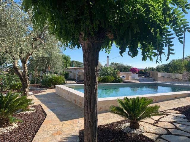 a swimming pool with a tree in a yard at Maison dei Trulli in Locorotondo