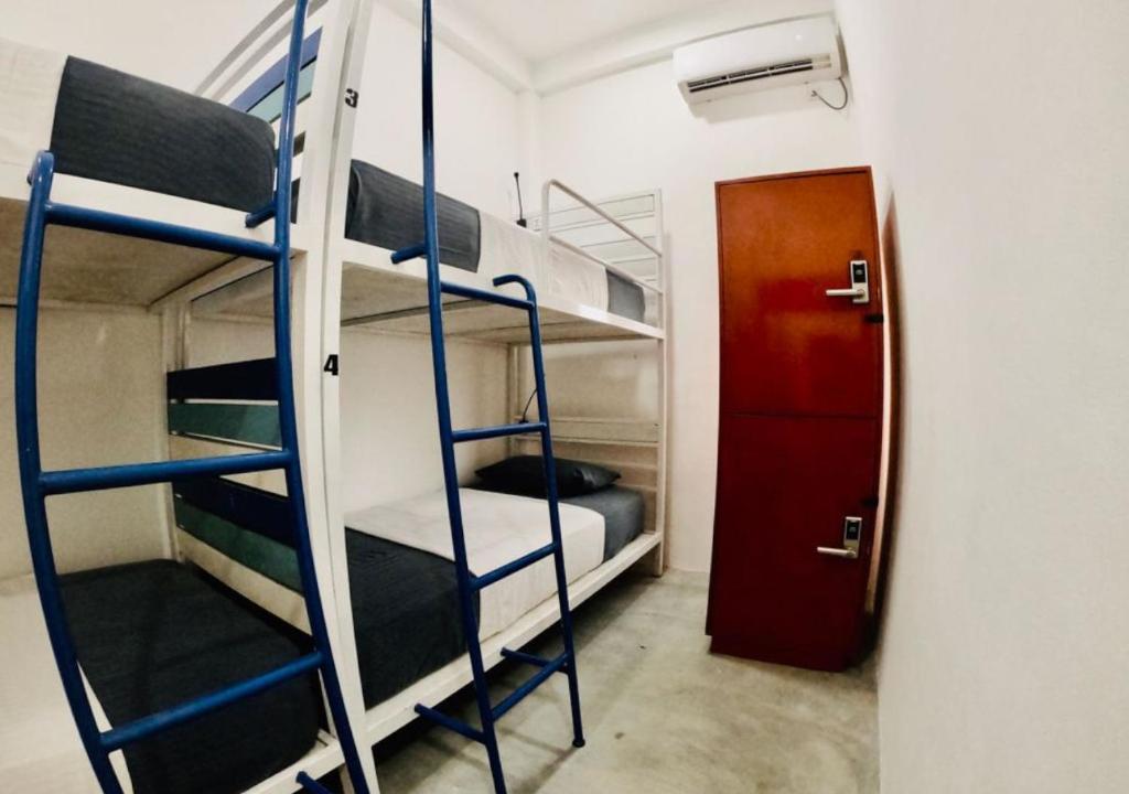 Palanda nebo palandy na pokoji v ubytování Hangover Hostels Arugam Bay