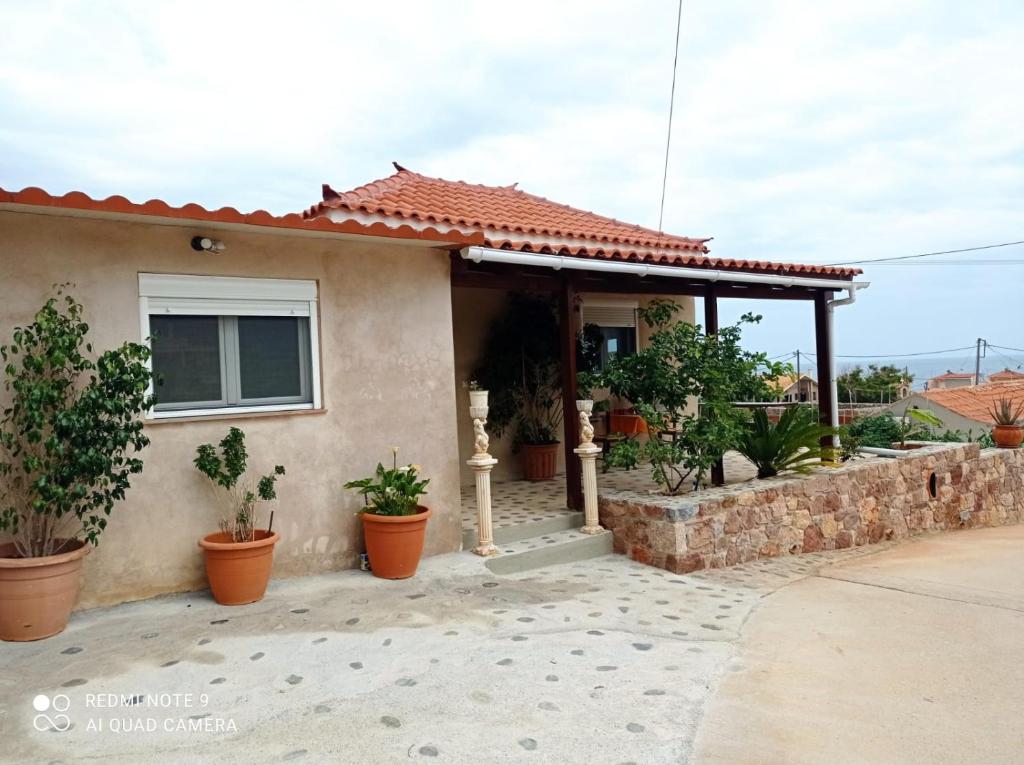 a house with potted plants in front of it at zikos house in Monemvasia