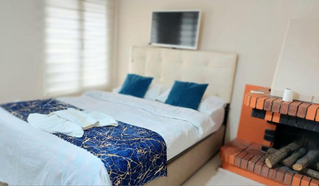 - une chambre avec 2 lits avec des oreillers bleus et une télévision dans l'établissement Aria3, à Istanbul