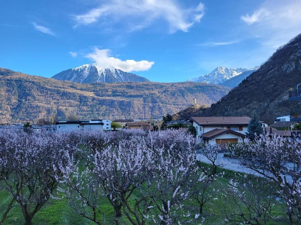 uma montanha à distância com uma cidade e árvores em Les Cubes em Martigny-Ville