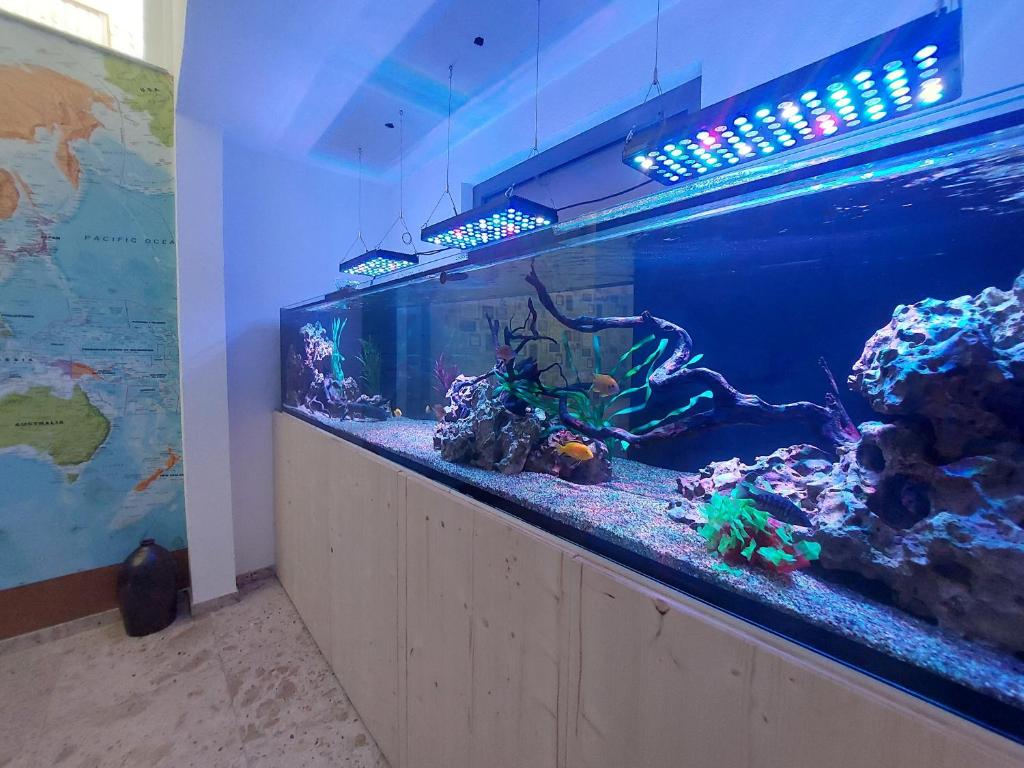 Kép Laudach INN szállásáról Vorchdorfban a galériában