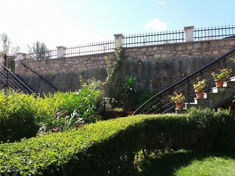 Zahrada ubytování Vila118