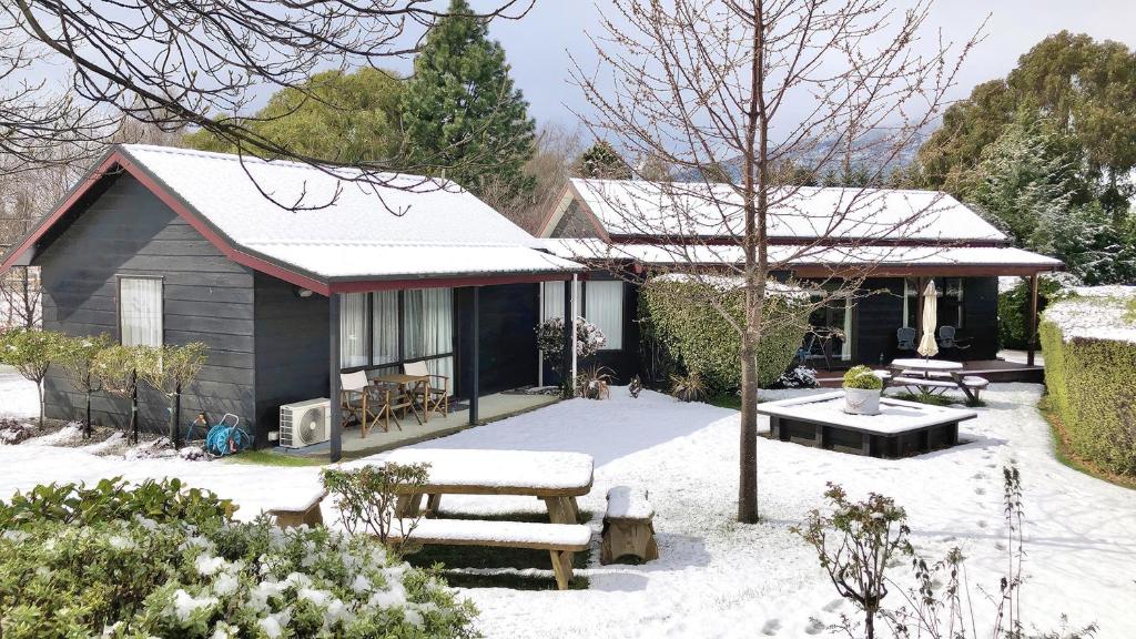 山林小屋所在大楼