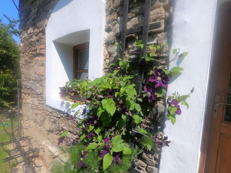 Zahrada ubytování Bohemia Retreat