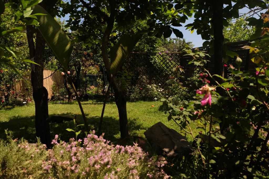 Zahrada ubytování B&B CasaNera