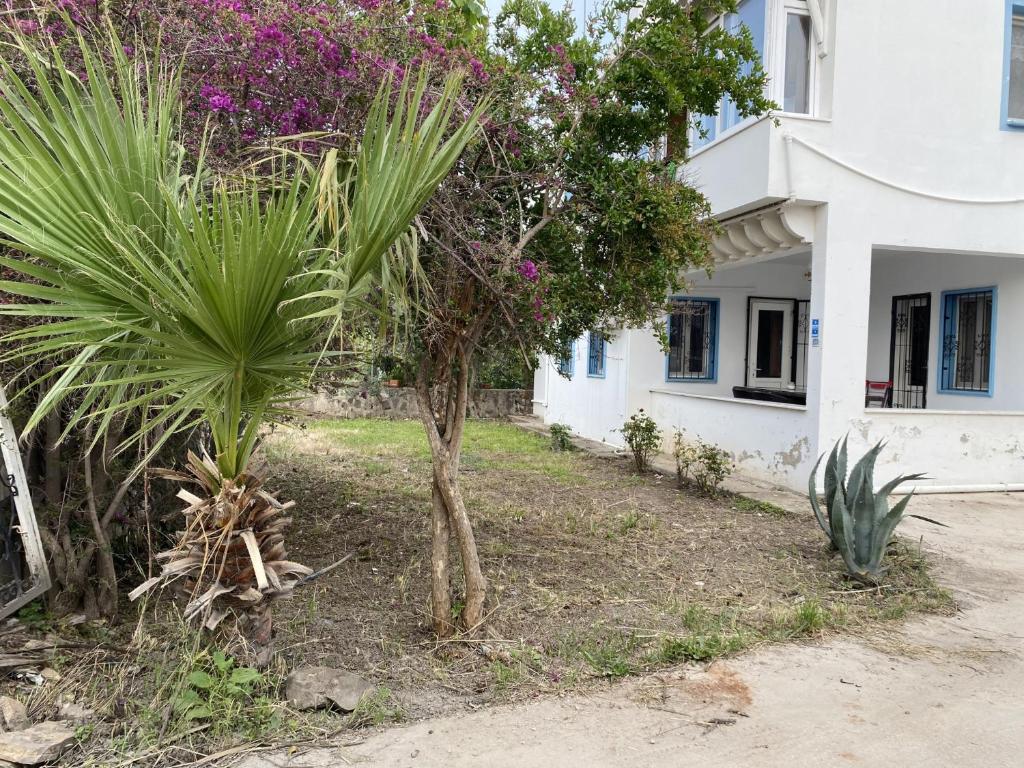 Cozy Flat 3 min to Yalikavak Marina in Bodrum