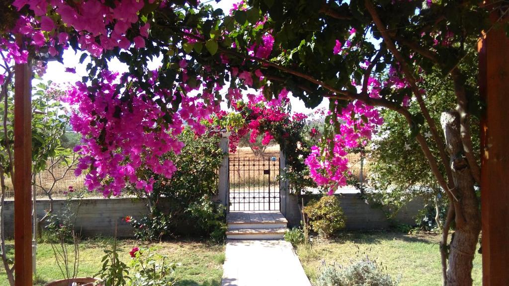 a bunch of pink flowers hanging from a tree at Villa in the Garden in Kokkini Khanion