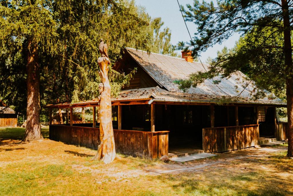 Domek w lesie, nocleg na Lubelszczyźnie, Sosnówka – Updated 2023 Prices