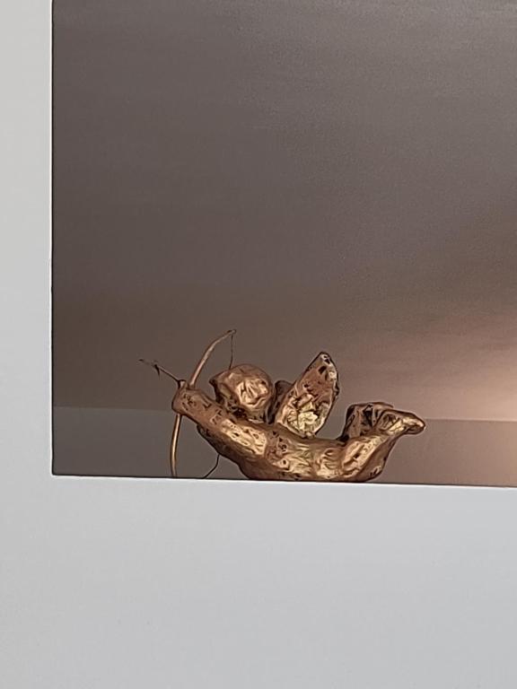 Fotografie z fotogalerie ubytování B&B Rosenrot v destinaci Eichberg