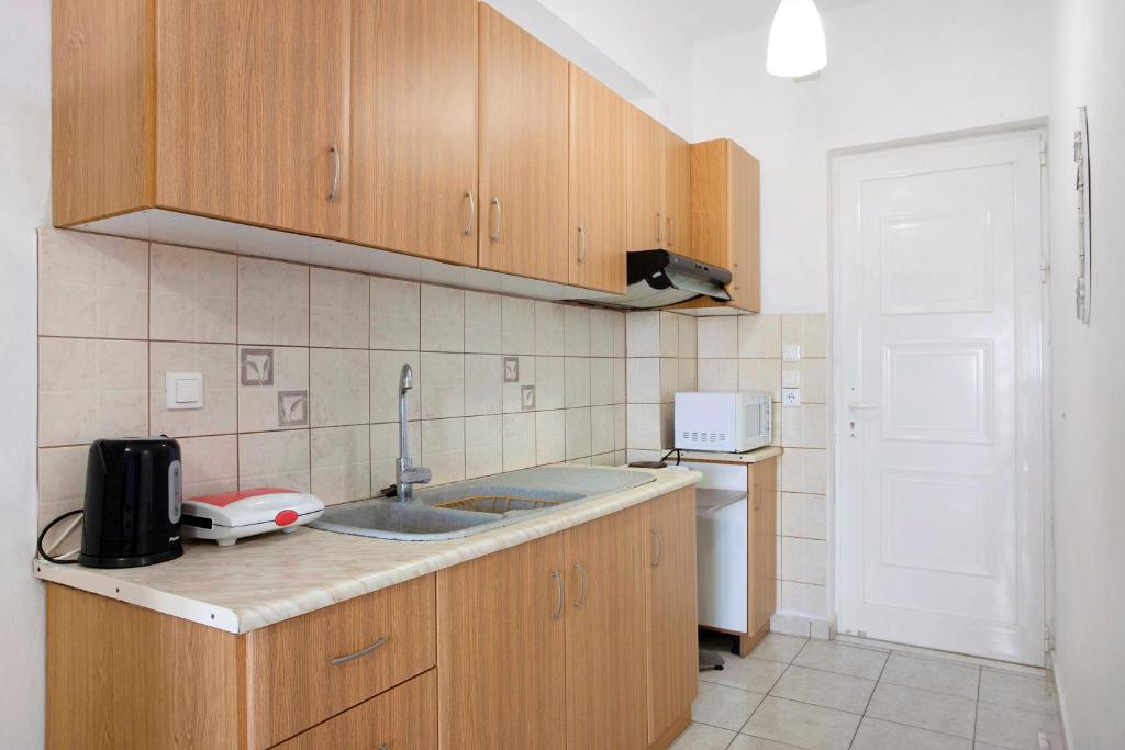 Kuchyňa alebo kuchynka v ubytovaní Yiannis Superior Apartment 8