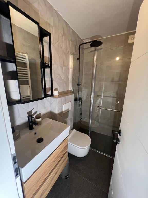 W łazience znajduje się umywalka, prysznic i toaleta. w obiekcie Libertas apartments w Koprze