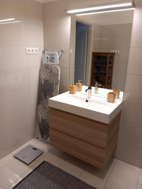 Koupelna v ubytování Korvin One Apartman