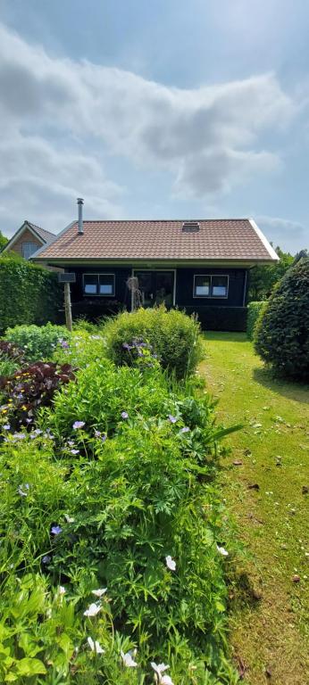 a house with a green yard with bushes and flowers at B&B Guesthouse Claeswael in Klaaswaal