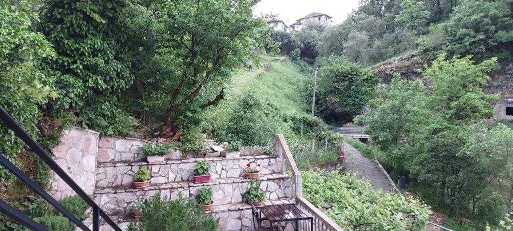 Zahrada ubytování KALE GUESTHOUSE