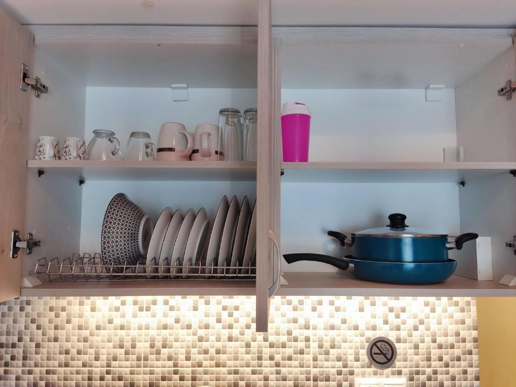 Amaryllis Maison Hili - 12