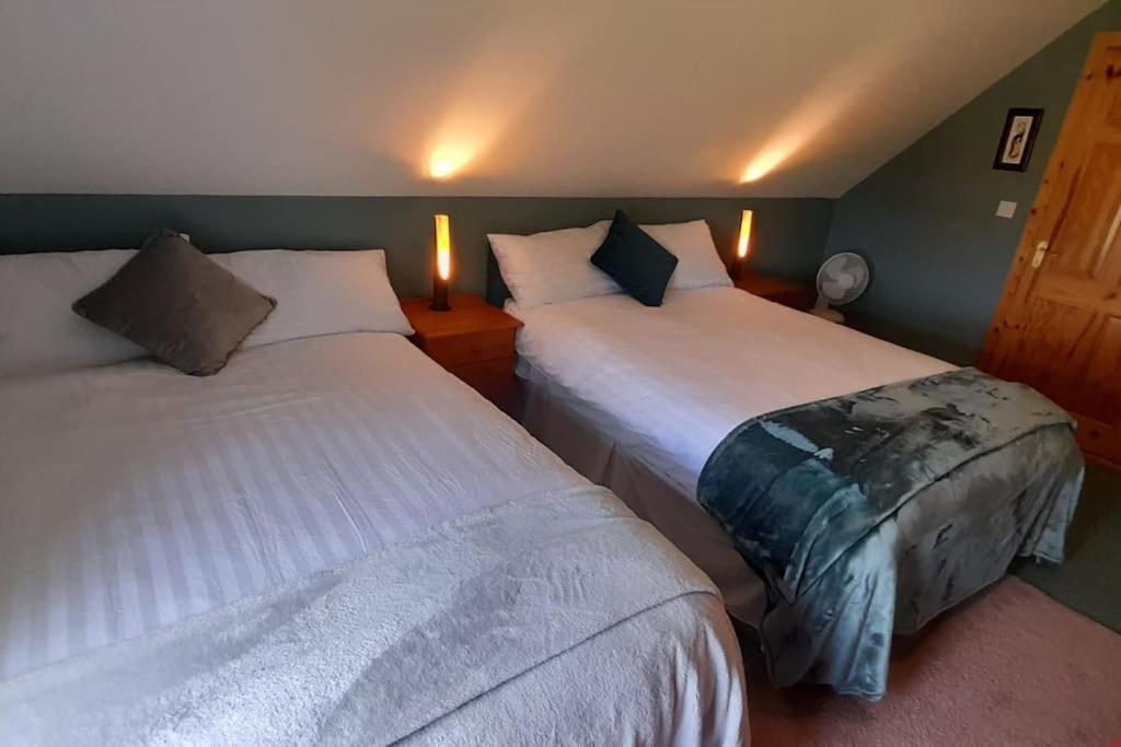 two beds in a hotel room with two lamps at Private bedroom. Athlone and Roscommon nearby in Roscommon