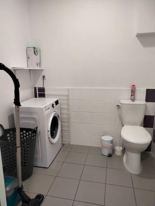 un bagno con lavatrice e WC di Gîte de groupe 2 à 12 personnes a Guillon