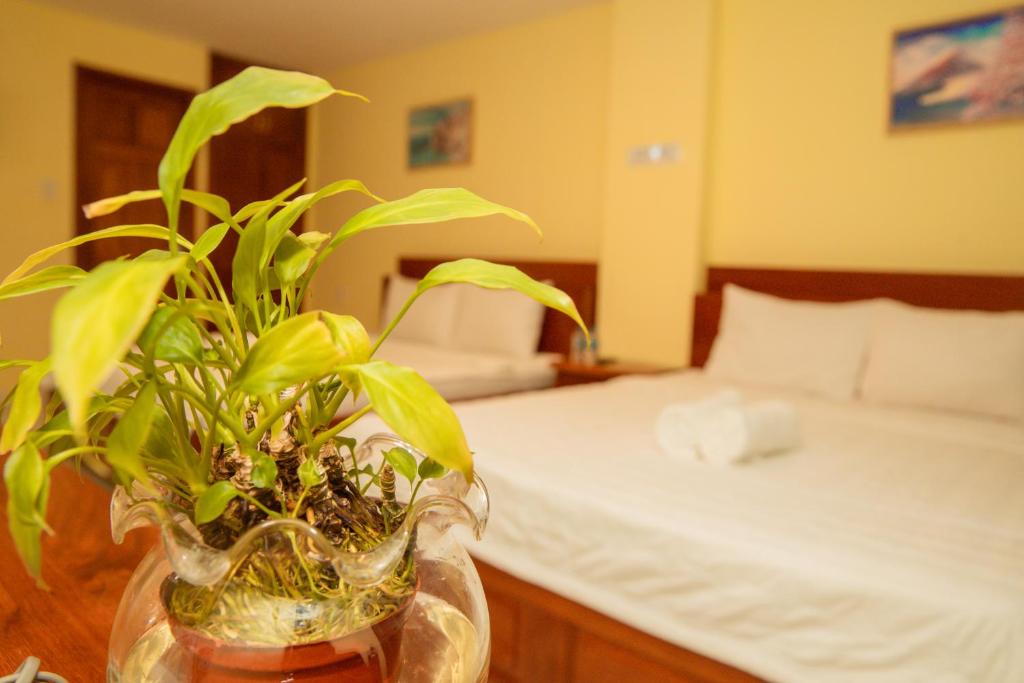 Thùy Trang Hotel - Quadruple Room With Balcony