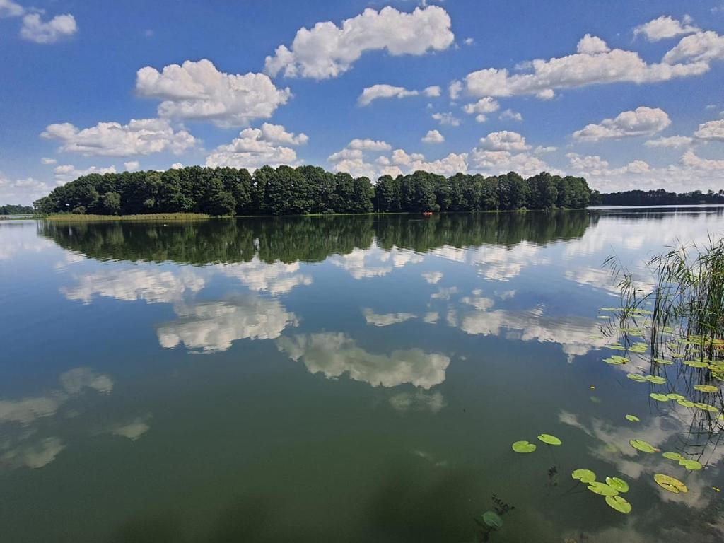a large lake with trees and clouds in the water at Siedlisko pod świerkami-Twój własny kawałek raju in Małkinie